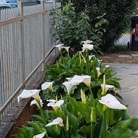 Armonia Maison d'hôtes