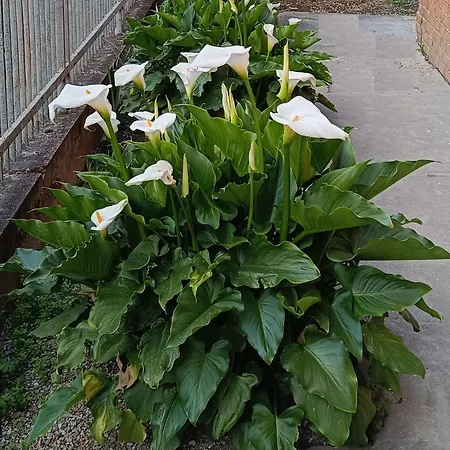 Armonia Maison d'hôtes